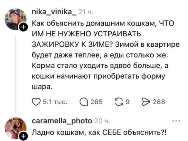 Веселые картинки в пятницу (30.10)