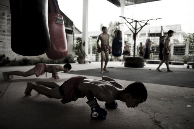 Тайские боксеры с малых лет