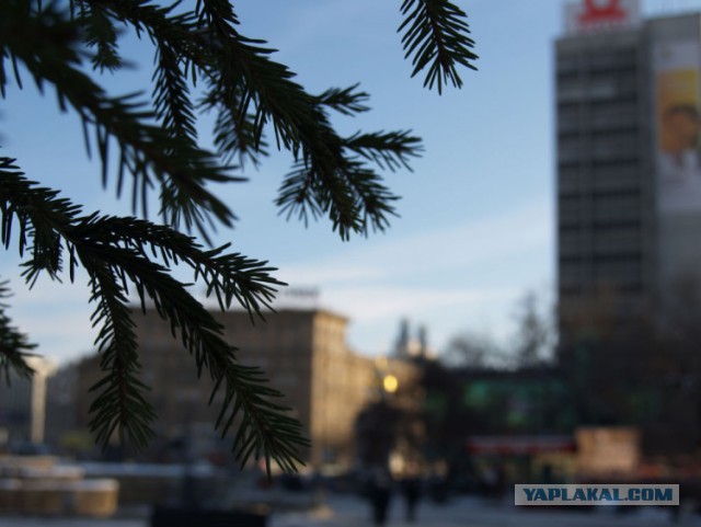 Новосибирск