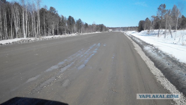 Озеленение Владивостока.