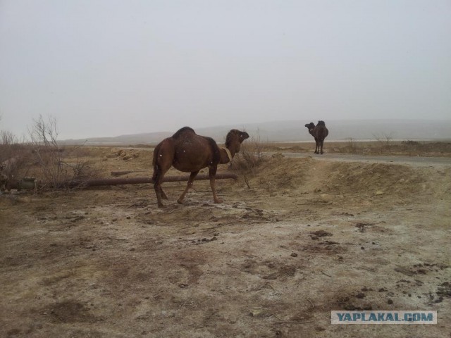 Путешествие в Восточный Аккар