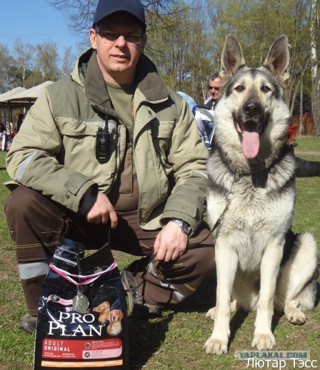 Мой малый друг Мухтар