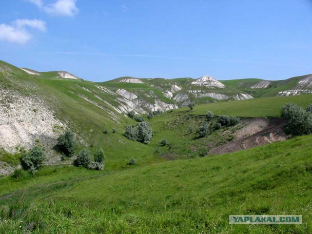 Хочу в Россию.