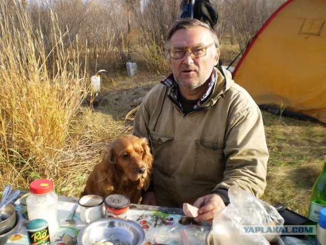 Собакочетверг на 18.12.2014
