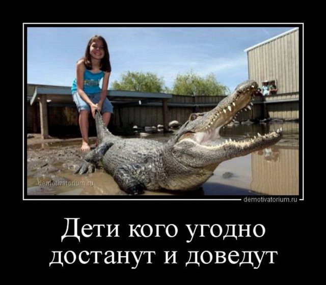 Веселое из сети