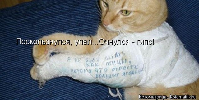 Нашёл в кустах 18 слитков золота в черных носках