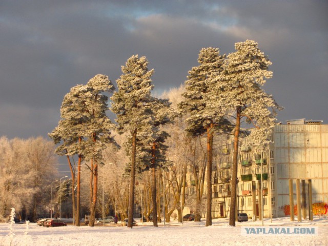 Латвия, Лиепая, район Кароста