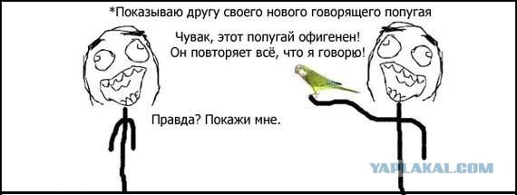 Доверяйте друзьям...