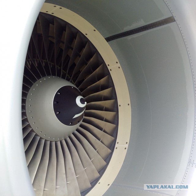 Прилет новенького Airbus 321 во Внуково