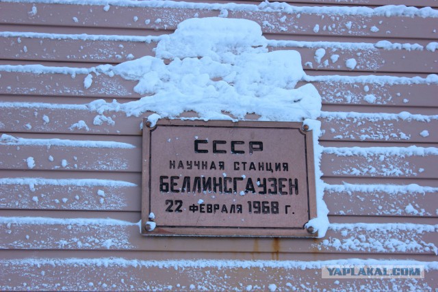 Это не котовторник! Это Котиковторник!