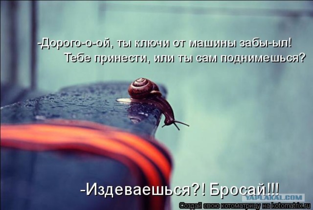Макрофотографии Вячеслава Мищенко