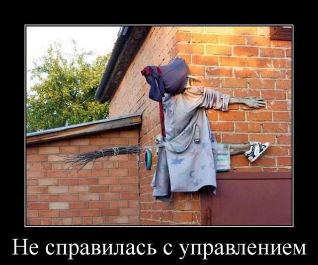 Картинки