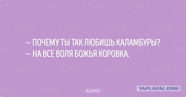 Картинки из интернета