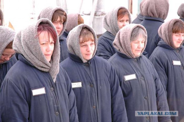 Пьяная адвокатша устроила истерику в полиции