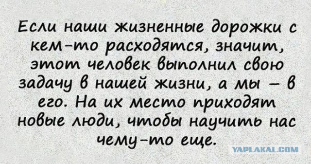 Как пережить развод перед 31 декабря