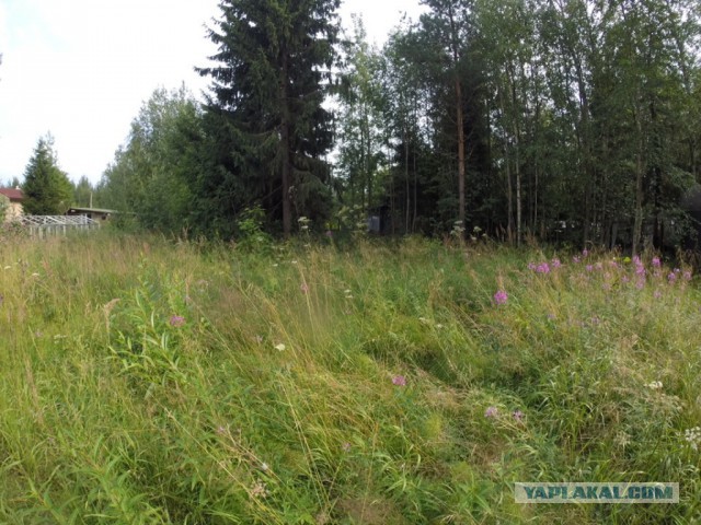 Дачный туалет, строительство