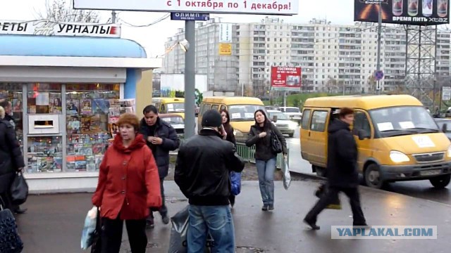 Москвичи требуют закрыть рынки «Москва» и «Садовод»
