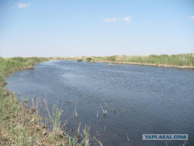 Степи Казахстана