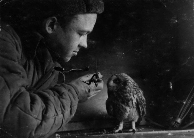 Великая Отечественная война: реальные лица со старых фотографий