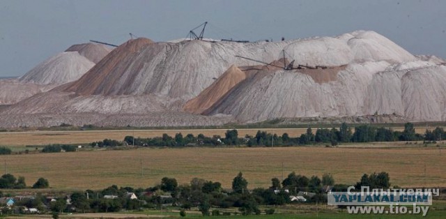 Россия распространила продуктовое эмбарго на соль