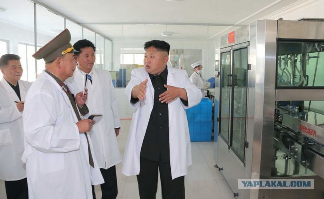 В Северной Корее создали таблетки от рака