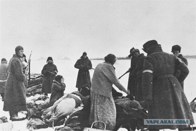 Интересные и редкие фотографии