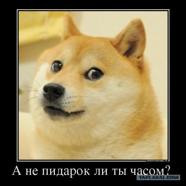 Мужик дело говорит !