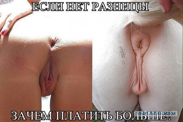 Самые невостребованные женщины на сайте знакомств