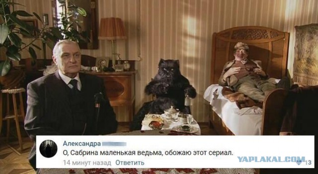 Смешные комментарии из социальных сетей 21.07.2017
