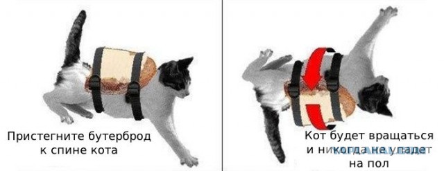 Вах! Анекдота свежая! По рубля за штука!
