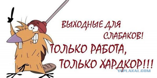 Жириновский предложил отменить новогодние каникулы