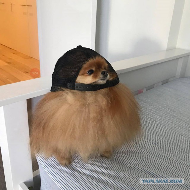 Немного пятничного хаоса и чернухи