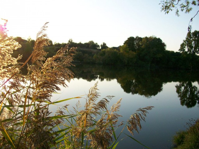 Просто Природа