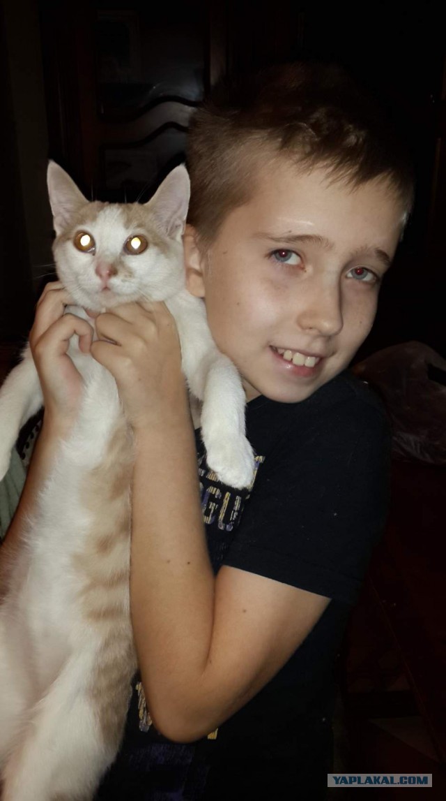 Котовторник  23.01.2018