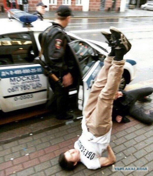 Запилю-ка я картинок