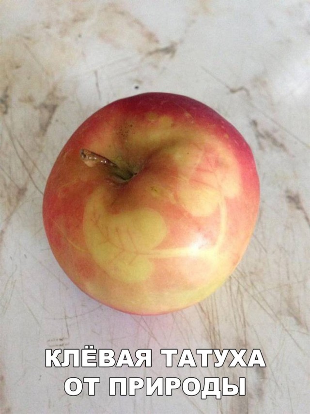 Нестандартный юмор