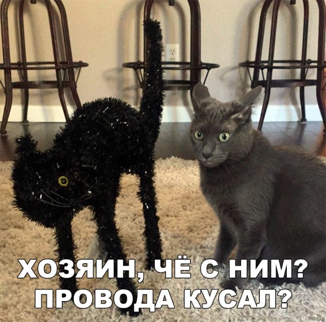 Нестандартный юмор