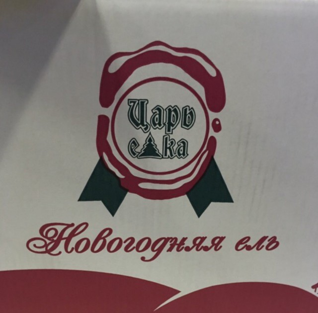 Новогоднее обращение уважаемого Президента России Владимира Путина 2019