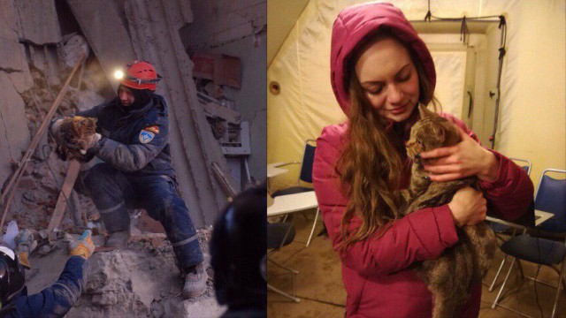 Спасатели достали собаку и шесть кошек из обрушившегося дома в Магнитогорске