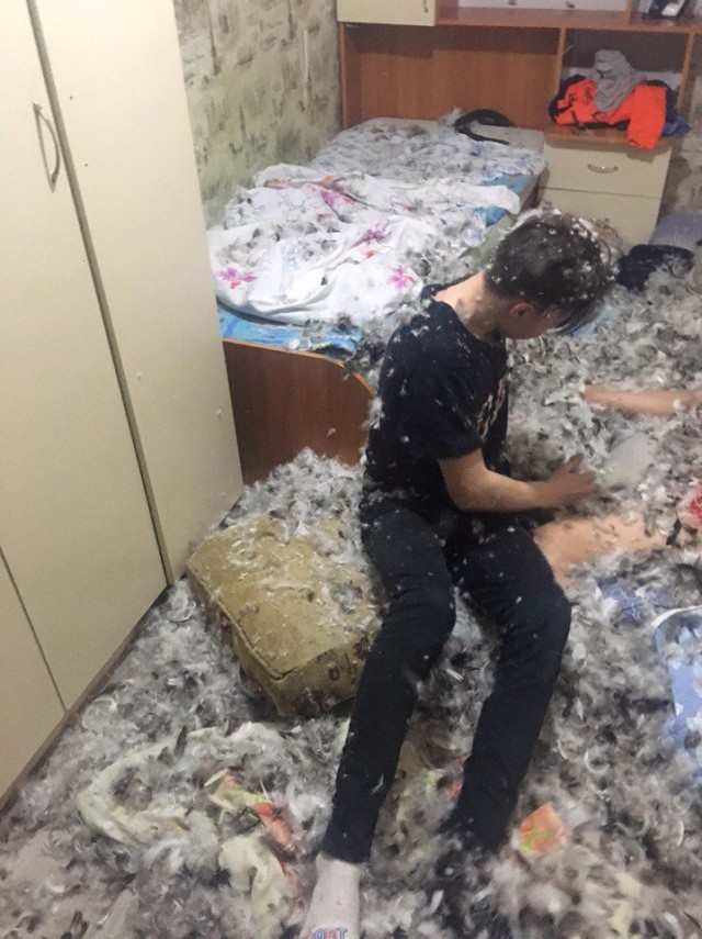 Скотсети и прочие интернеты 28.12.18