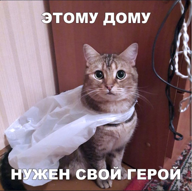 Нестандартный юмор