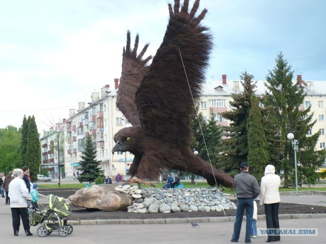 Гигантский орел в городе Орле