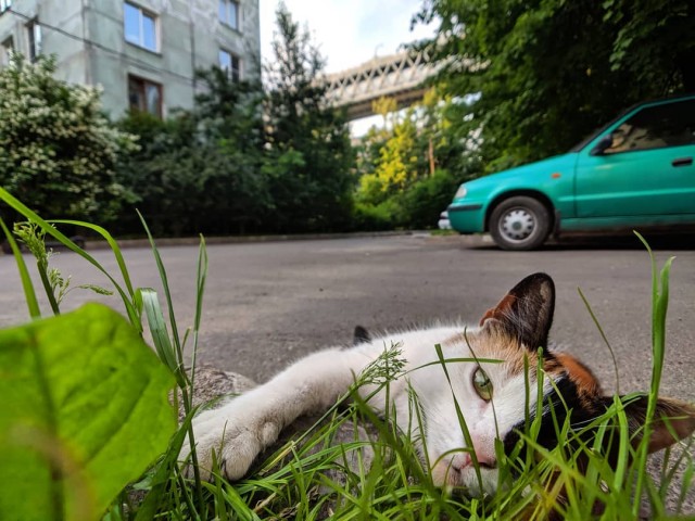 Сам себе фотограф