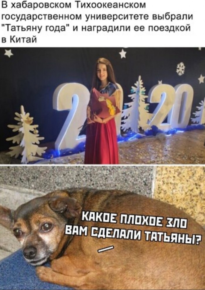 Бредзона 27.01.2020