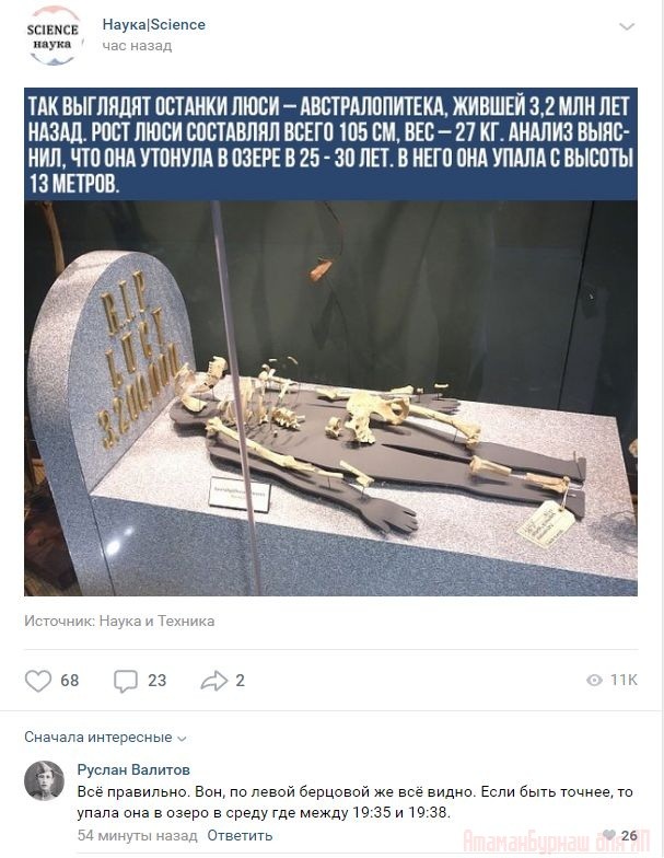 Комментарии к постам в разных группах, которые вызвали улыбку