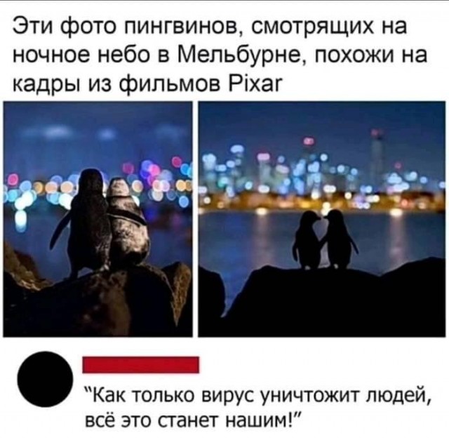 Чуток картинок 21.06.20