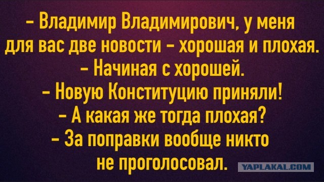 Стоит ли идти голосовать?