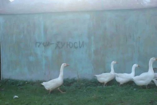 Фотожаба: КРЯ-КРЯ!