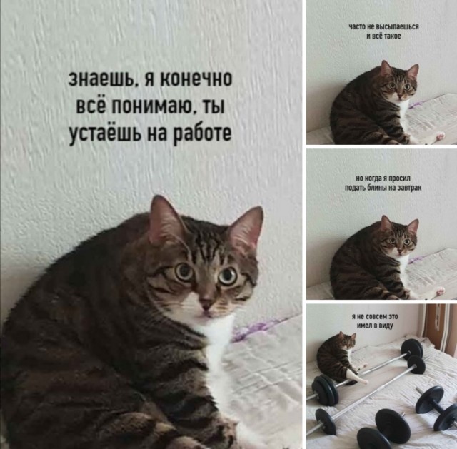 Юмор в картинках 22.09.20