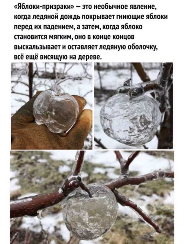 Картинки и мемы для настроения 011